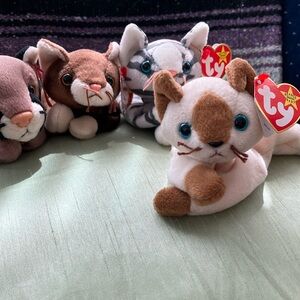 OCTOBER 27,1996  SNIP THE SIAMESE CAT ty BEANIE BABY  Brown / White BLUE EYES